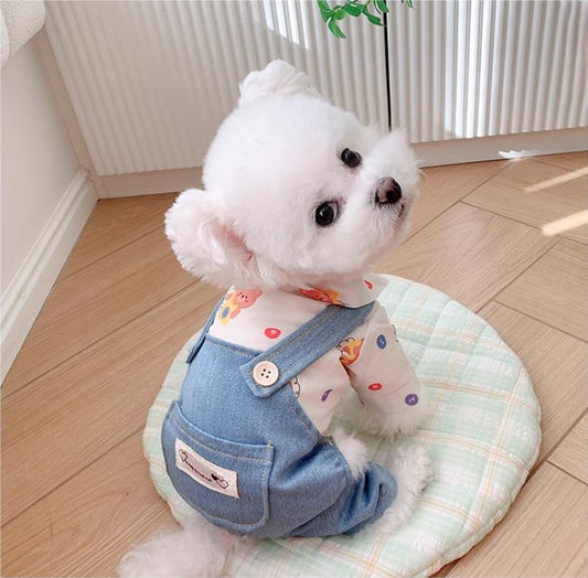 Overalls Design Dog Suit