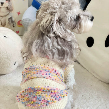 Rainbow Dot Sweater Top