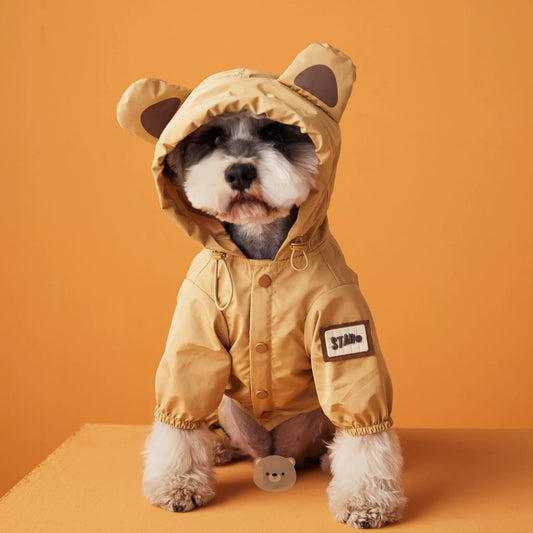 Bear Design Raincoat