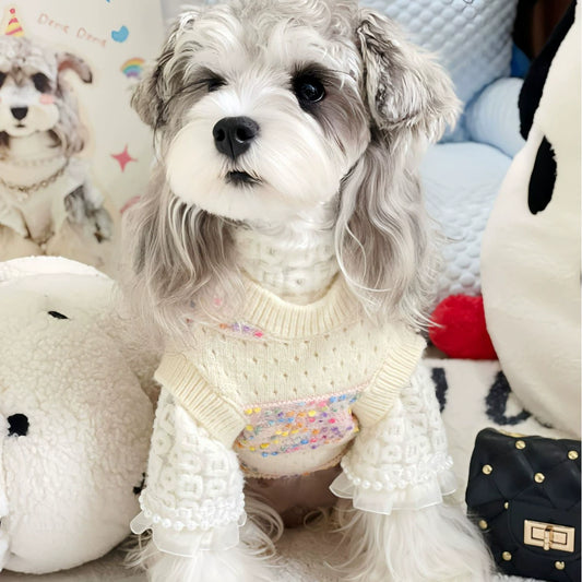 Rainbow Dot Sweater Top